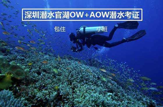 “孤星”烽烟再起,特朗普力挺德州,联邦政府与州权博弈实录